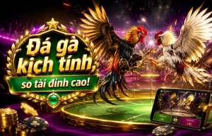 Đá Gà olneyazrealty giao diện sảnh